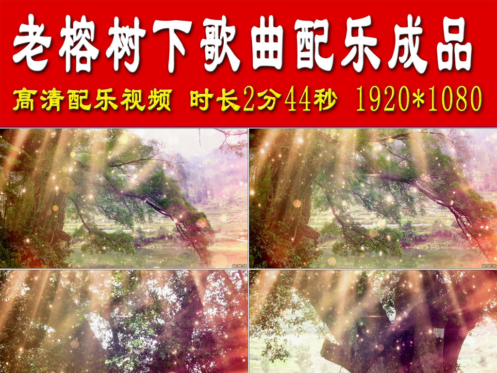 榕树下曲谱_榕树下简谱(5)