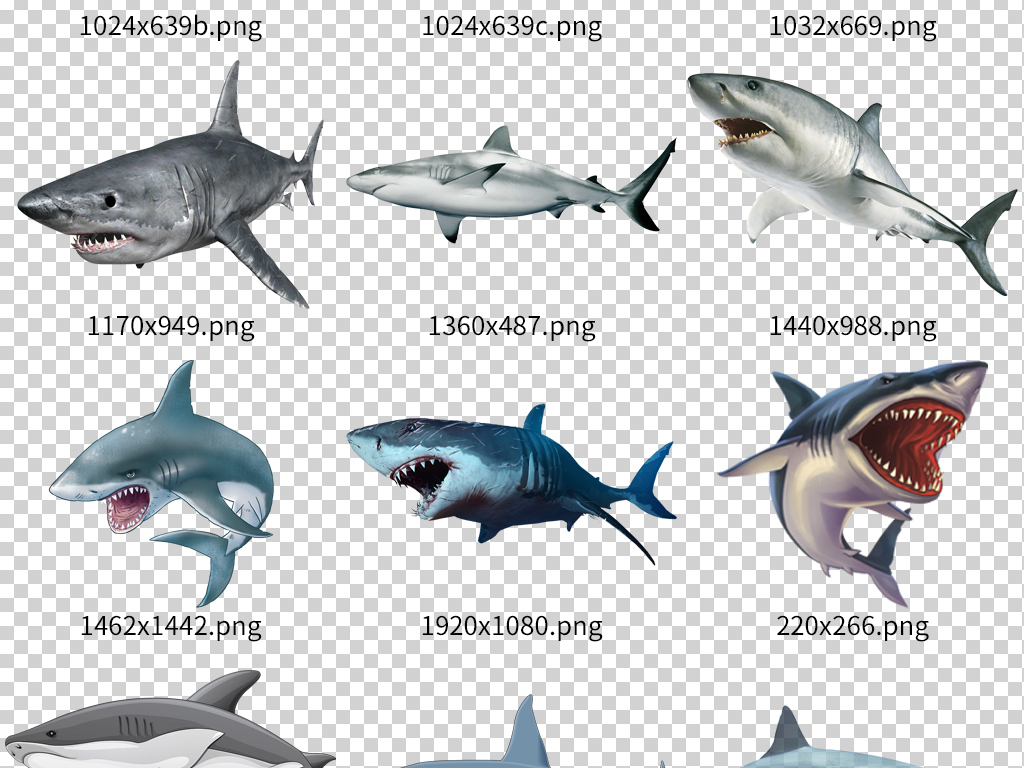 鲸鱼视频大全海底世界 16463191-8c0fd4c4e221dc8e5803dfbdf0b759d2-1.jpg