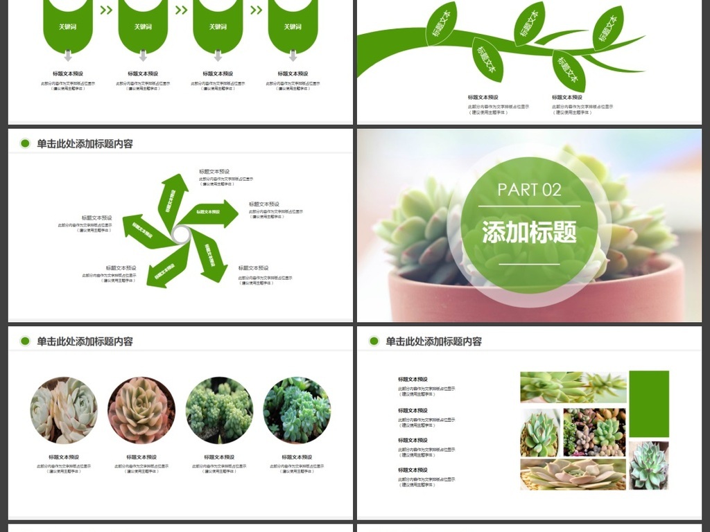 绿色清新多肉植物介绍教育课件PPT模板