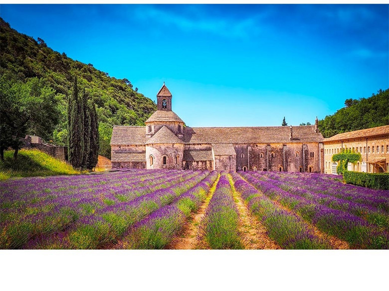 欧式熏衣草庄园牧场(图片编号:16478114)_电视