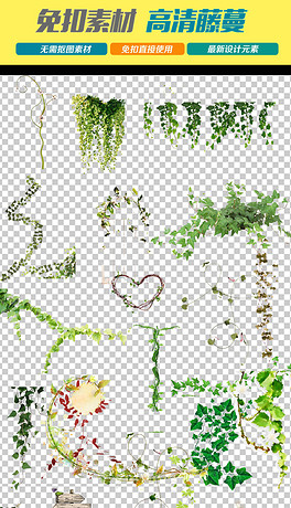 藤蔓简谱_藤蔓简笔画