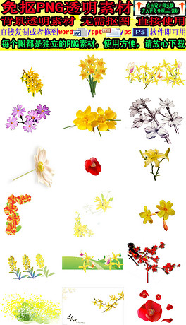 好一朵迎春花简谱_迎春花(2)