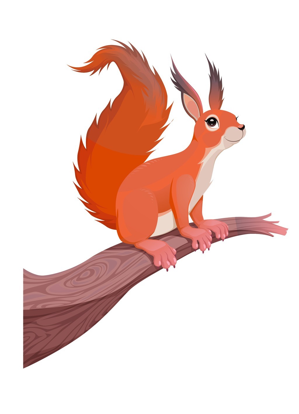 画动物图片教程 jpeg