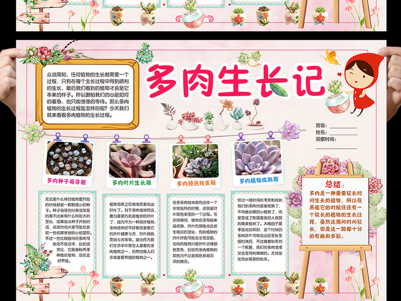 多肉生长记手抄报植物观察电子小报word(图片