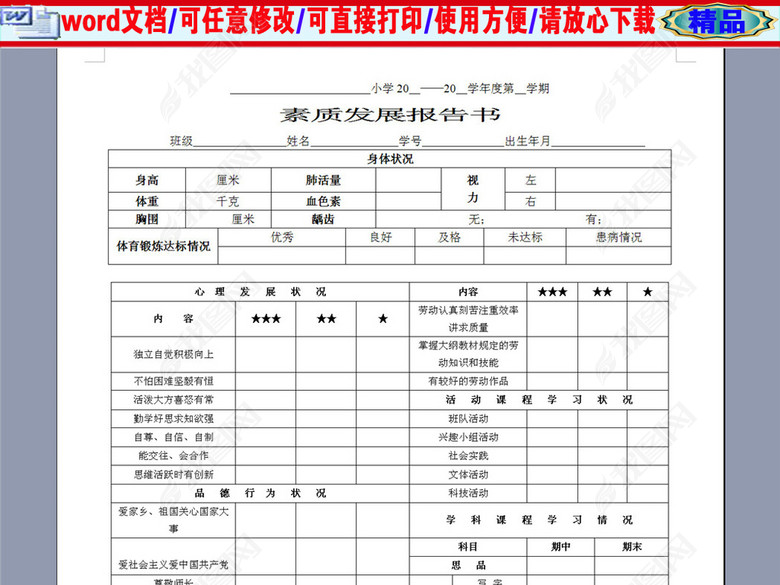 小学生素质发展报告书(通用版)图片下载doc素
