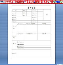 人口格式_人口普查(2)