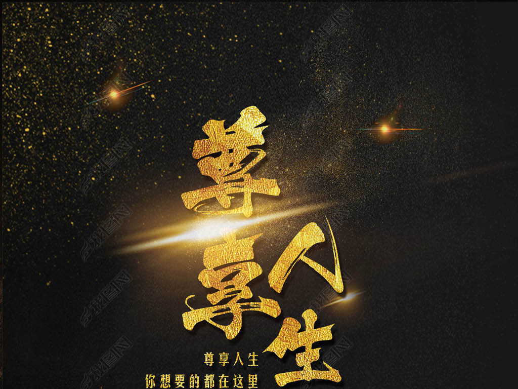 大气黑金尊享人生地产海报艺术字