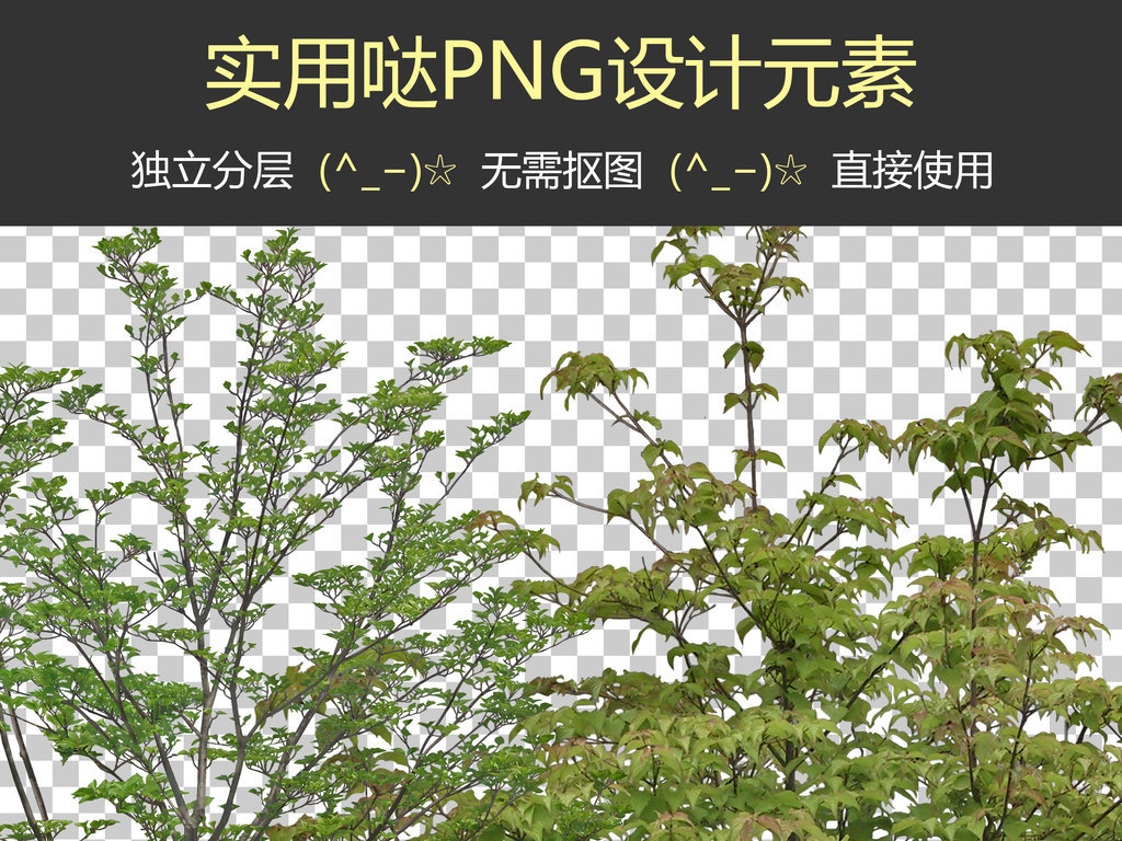 蓬树草什么成语_成语故事简笔画(3)