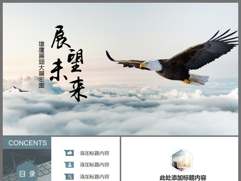 展望未来大展飞鹰企业发展目标PPT模版(图片