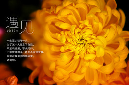 ҊջΨܺ󱳾