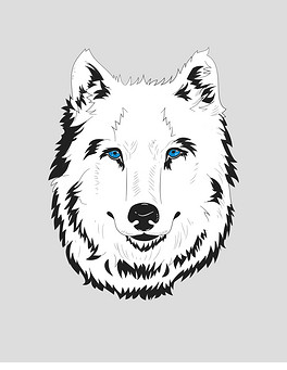 264x341a0a0
