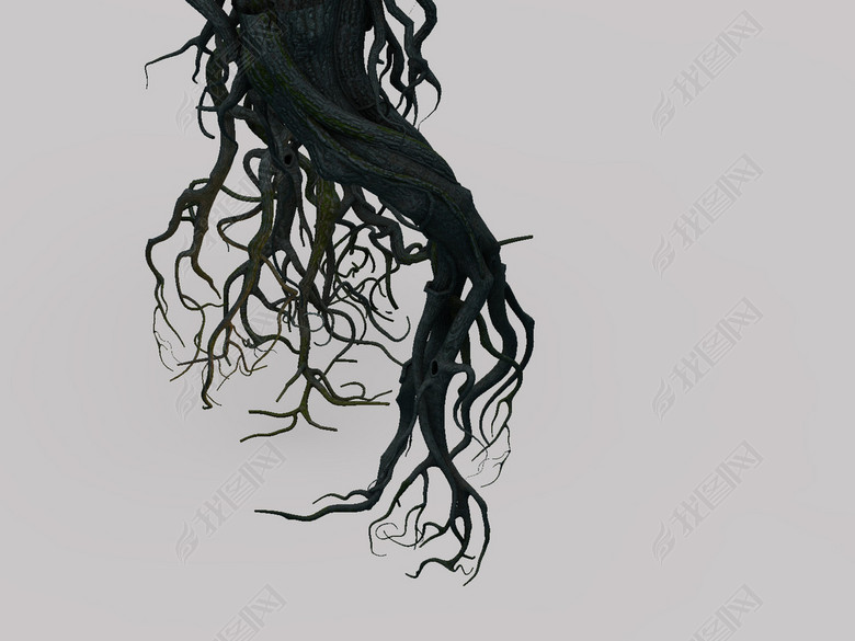 3D大棵树根须树根模型图片下载max素材