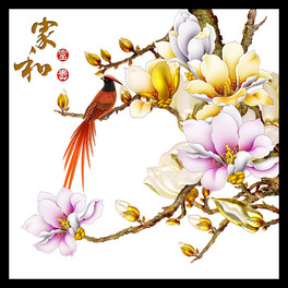 NƬlgƬ