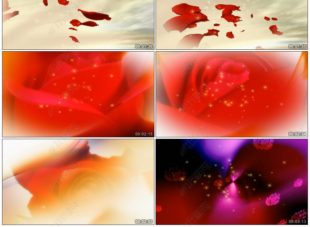 周杰伦告白气球伴奏歌舞花瓣玫瑰