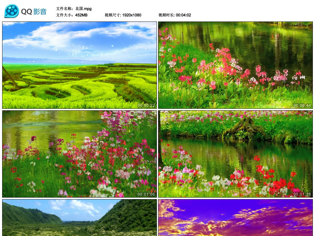 北国之春简谱动态曲谱_北国之春曲谱简谱(3)