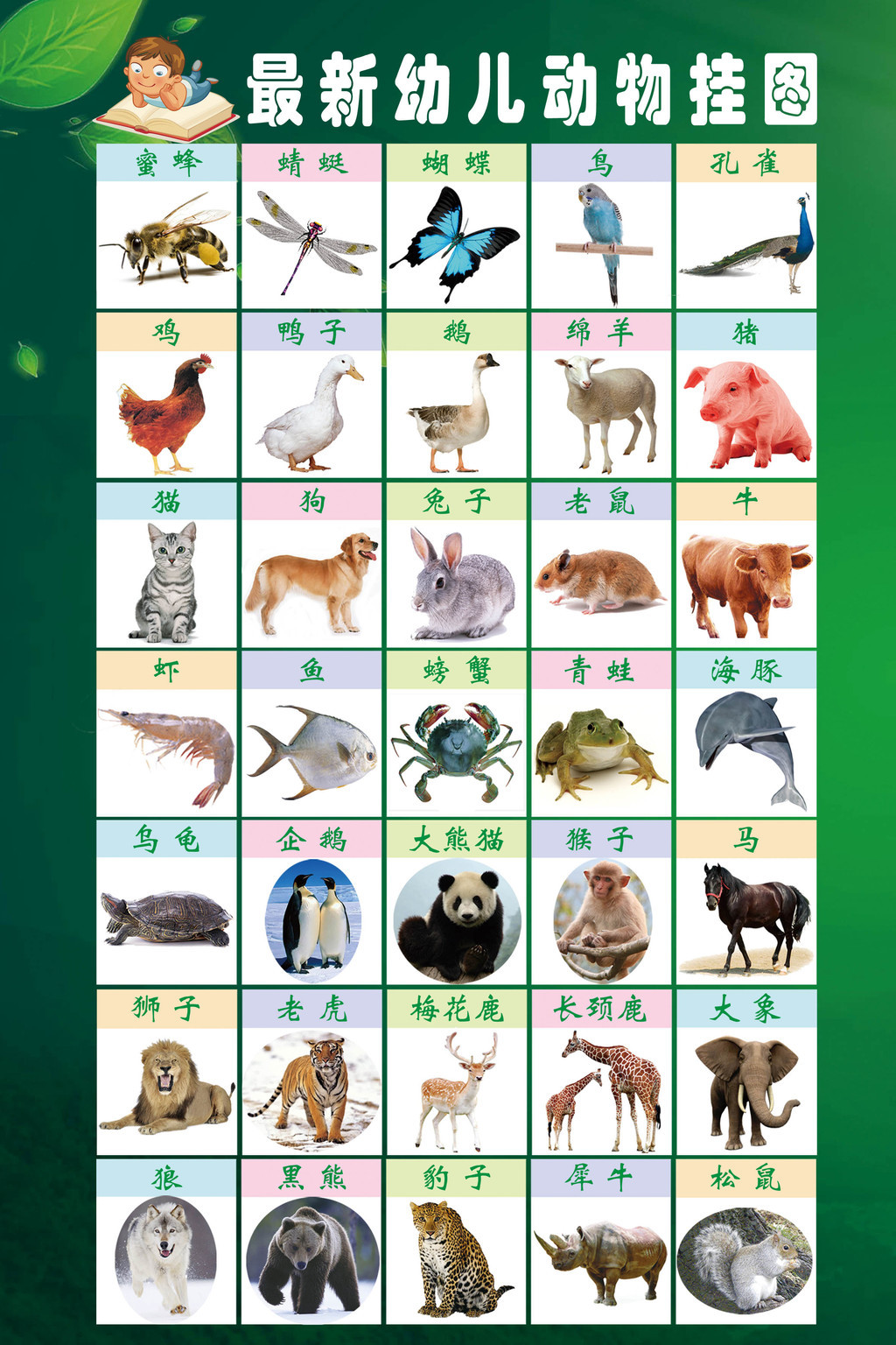 幼儿启蒙早教教育幼儿园动物挂图图片设计素材