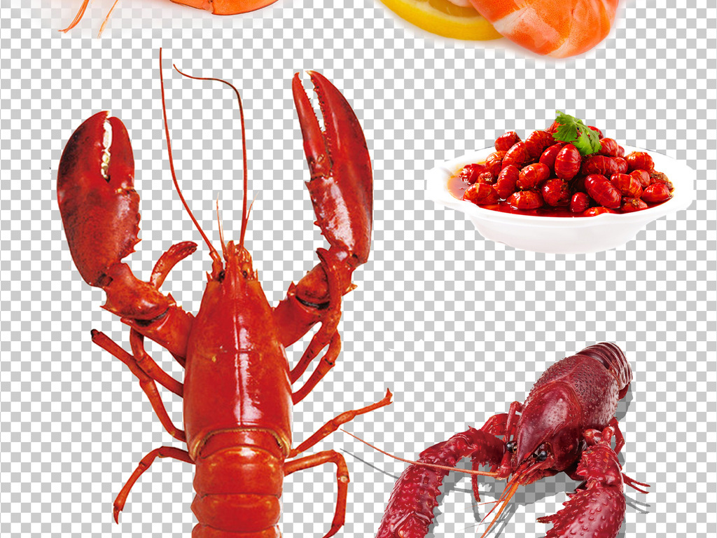 16724249-0503081fea6e34dadd9f401441791587-3.jpg