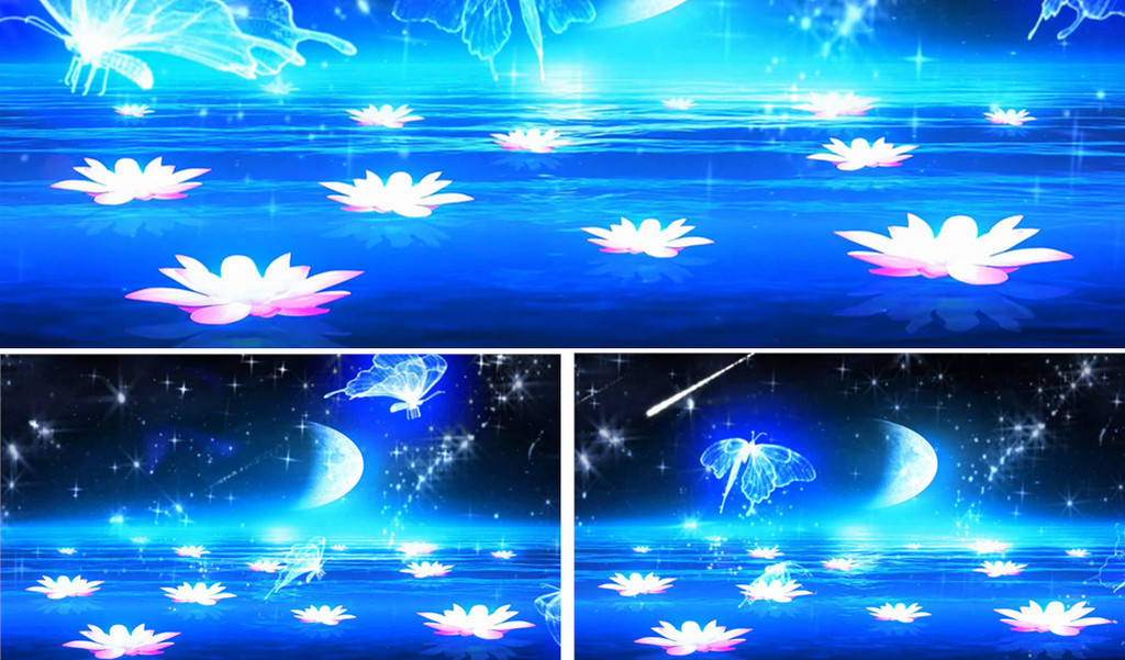 唯美粒子星空荷塘月色婚礼背景视频舞蹈背景