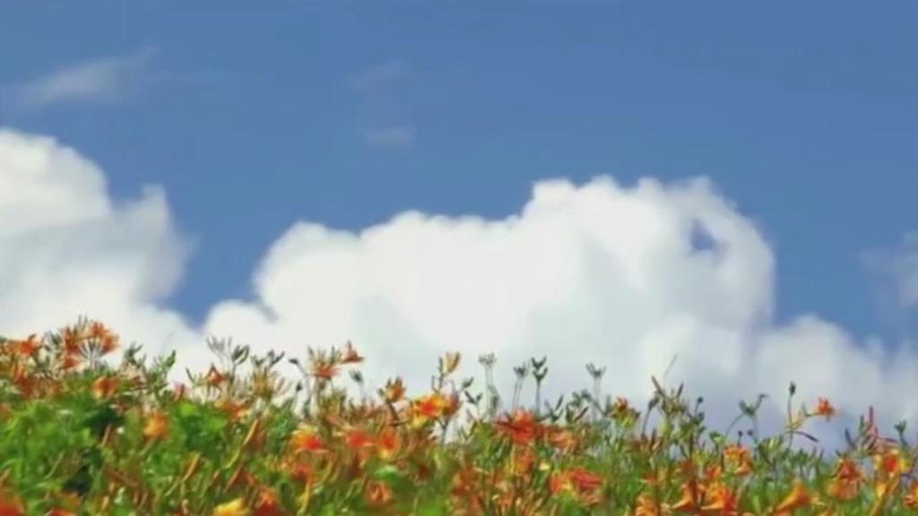 套马杆歌曲mv舞台视频