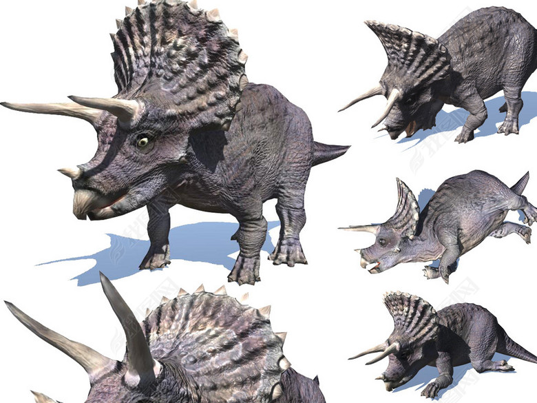 超写实恐龙三角龙带材质贴图绑定各种动画图片