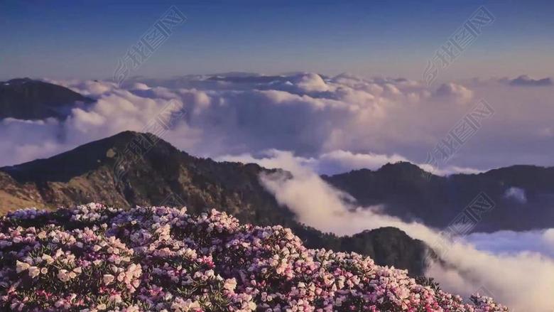 南泥湾郭兰英视频成品配乐(图片编号:1682687