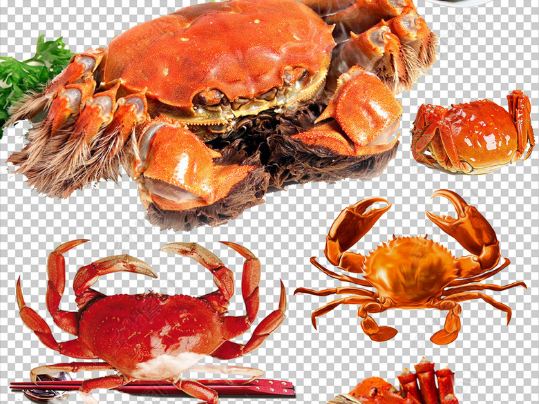 螃蟹河蟹香辣蟹大杂蟹免扣PNG素材图片下载