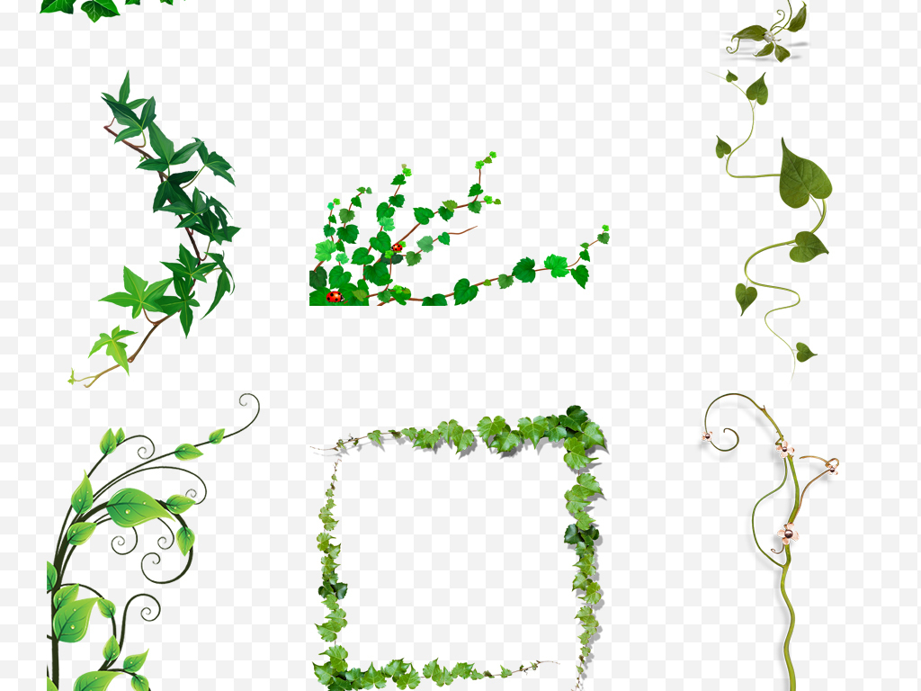 绿叶子装饰图片大全 16866205-46f71b5d66d9141b25ca0cca838aec56-3.jpg