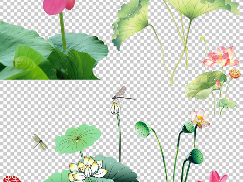 荷花佛莲花图片海报素材精品高清荷叶莲花图片