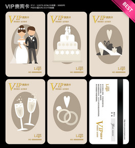 Yc˾VIPFeTOӋģ