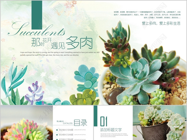 多肉植物种植知识介绍PPT动态模板(图片编号