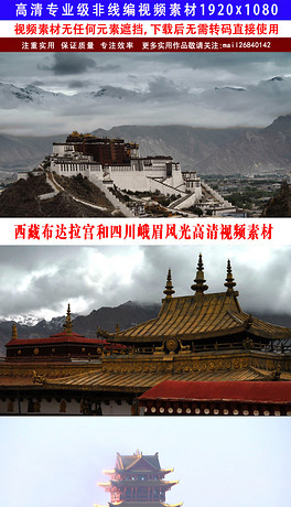 布达拉宫高清大图近照 264x460a0a0