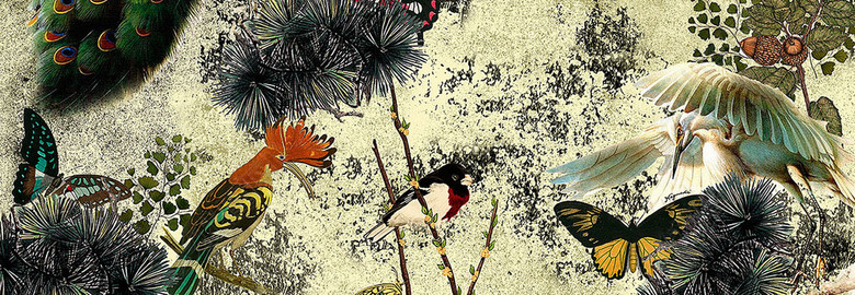 2018新款数码印花孔雀图案流行时尚元素(图片