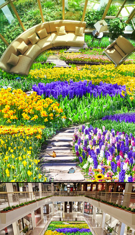 ܻ3Dذخ