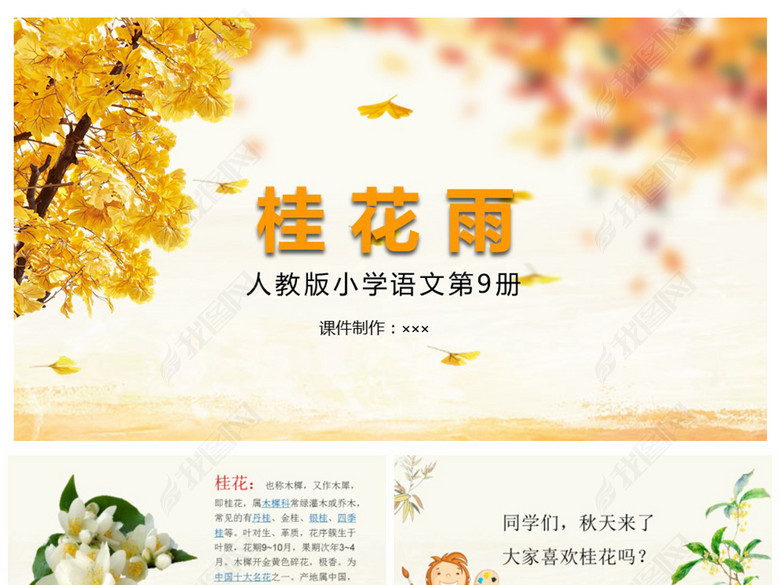 小学五年级语文桂花雨说课课件PPT模板(图片