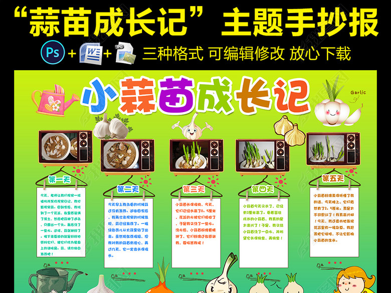 观察日记植物生长小报大蒜蒜苗手抄报图片下载
