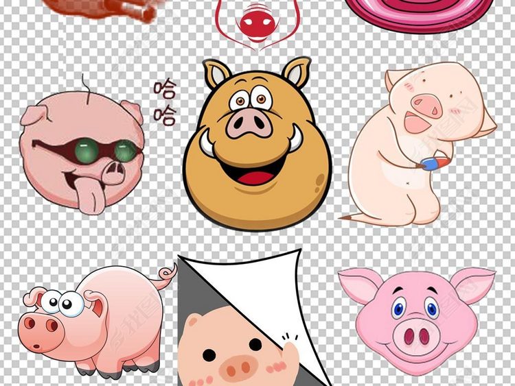 卡通可爱小猪猪头动物图片png素材