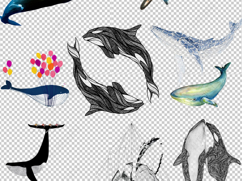 卡通鲸鱼动物设计PNG透明背景免扣素材图片