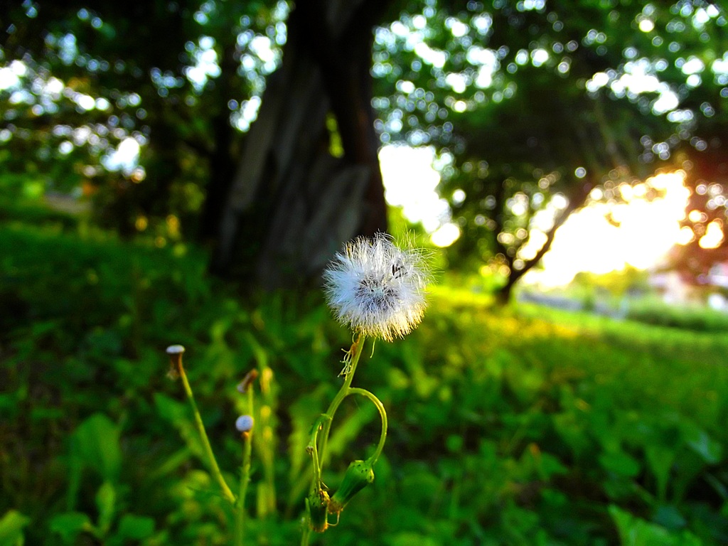 16966866-6fd1493961589a0f5d53410dcaae2c39.jpg