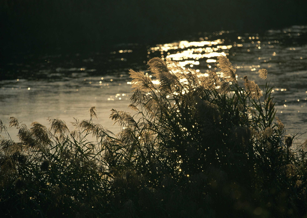 郓城县2O20GDP_郓城县地图(2)