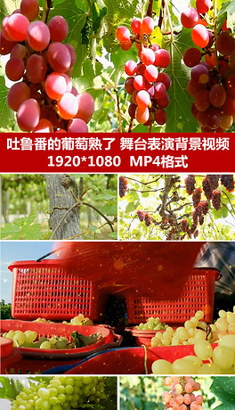 简谱吐鲁番的葡萄_吐鲁番的葡萄熟了简谱(2)