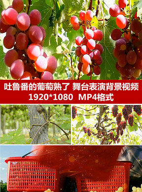 简谱吐鲁番的葡萄_吐鲁番的葡萄熟了简谱(2)