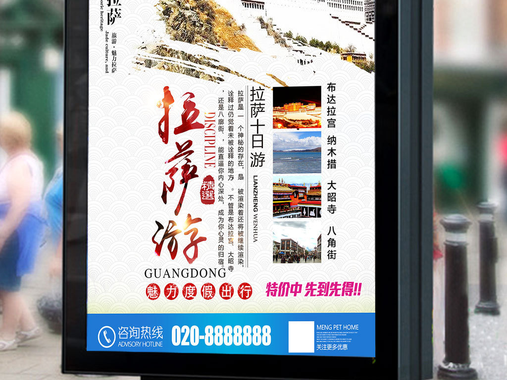 拉萨招聘信息网_国网西藏电力公司2016 2019届招聘解读
