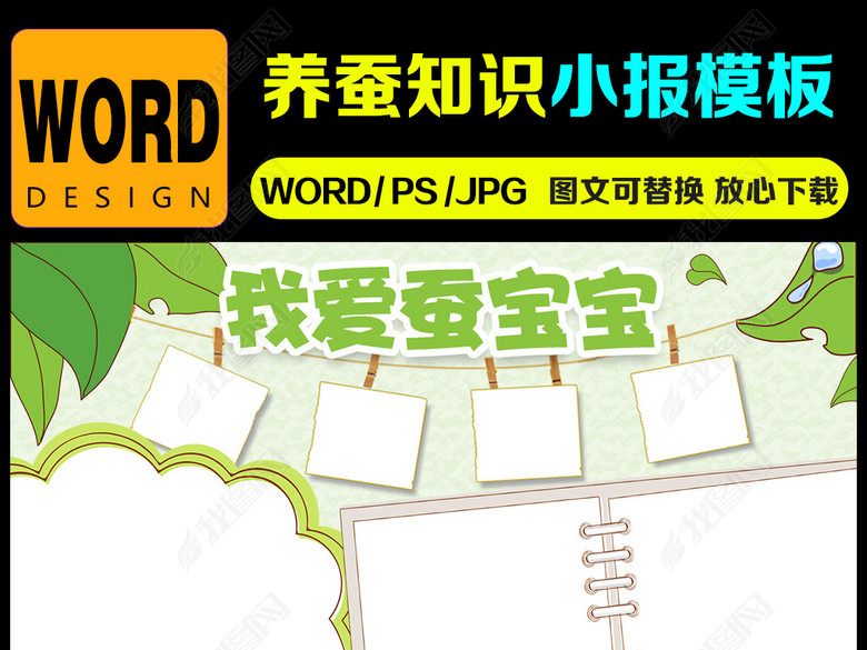 养蚕小报蚕文化蚕宝宝观察生长日记手抄报图片