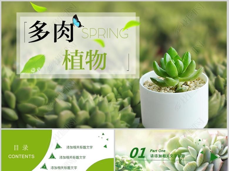 绿色清新多肉植物种植动态ppt模板(图片编号:1