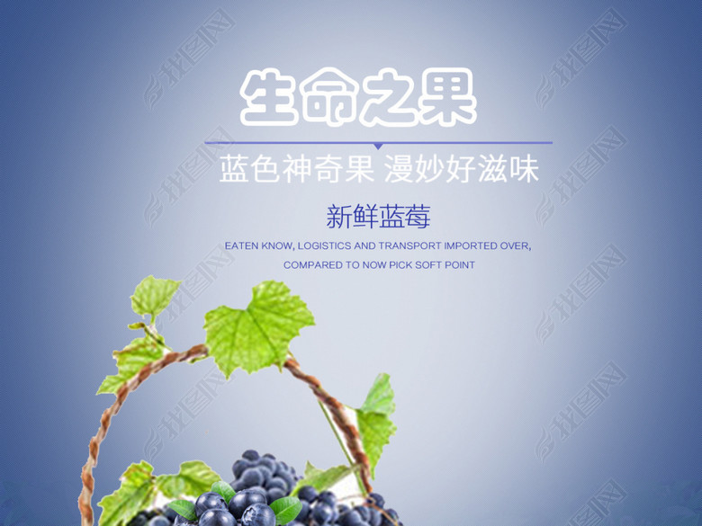 淘宝天猫水果蓝莓详情页描述模板(图片编号:1