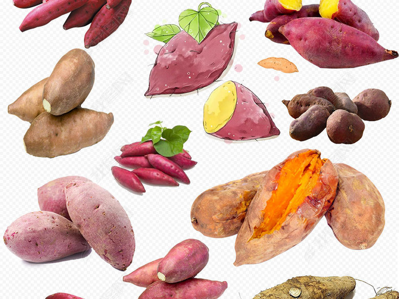 卡通红薯地瓜紫薯烤红薯土特产免扣素材图片下
