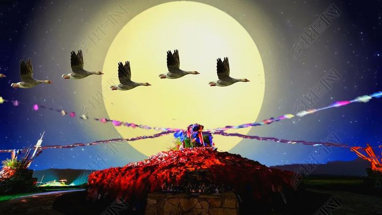 配乐成品鸿雁经典老歌(图片编号:17027756)_动