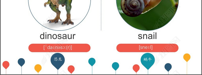 幼儿动物的英语单词大全词汇音标发音配图(图