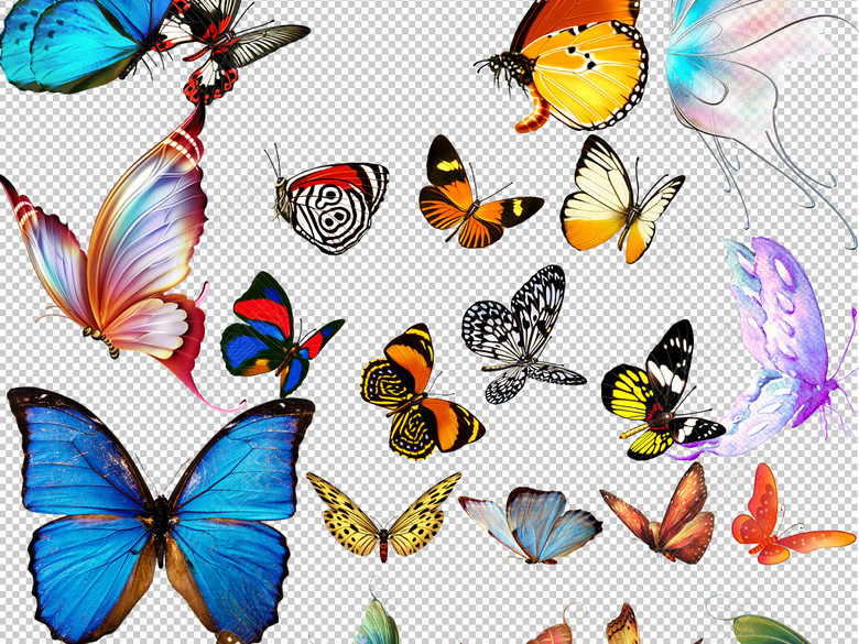 水墨蝴蝶彩色蝴蝶手绘蝴蝶黑白免抠png图片下