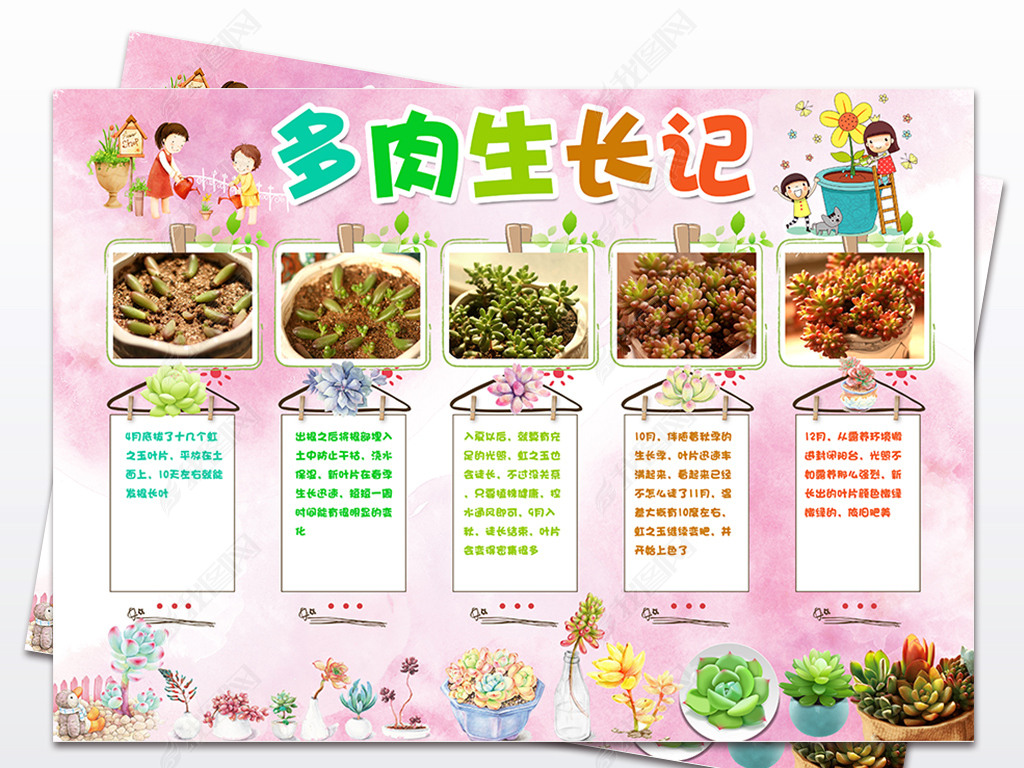 原创多肉生长记手抄报植物观察电子小报